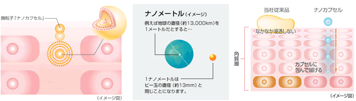 働きの異なるカプセルを組み合わせることで必要な場所に必要な成分を効率的に届けることができ、角質深層部までみずみずしいうるおいで満たすことができるのです